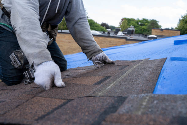 Best Roof Gutter Cleaning  in Yates Center, KS